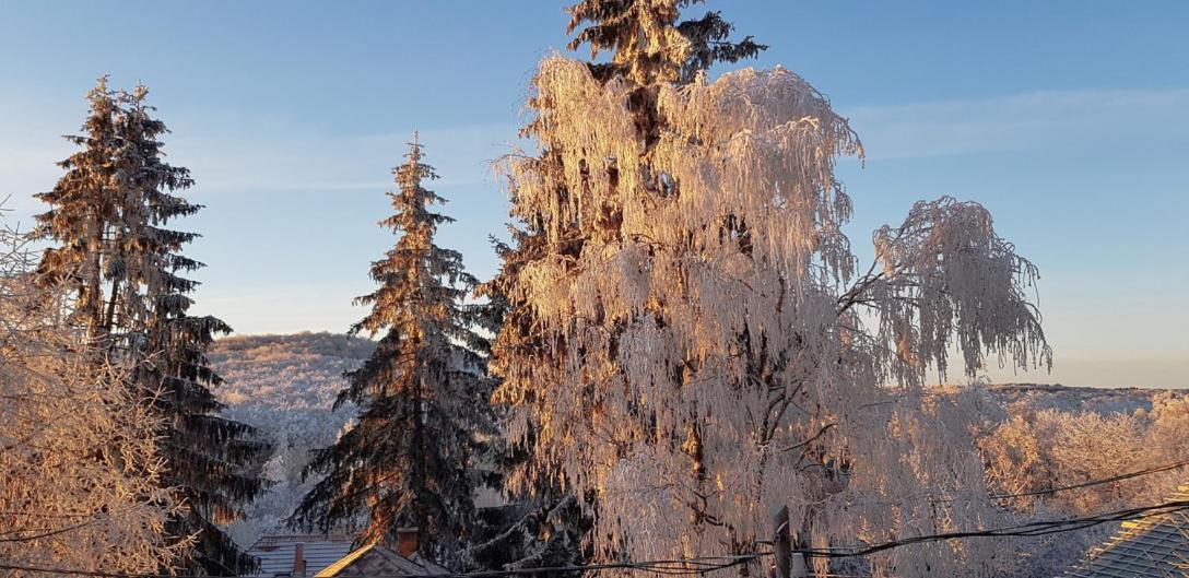 Отель Matraszentimre Panzio Экстерьер фото